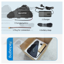 Triiangle ebike Battery