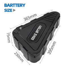 Triiangle ebike Battery